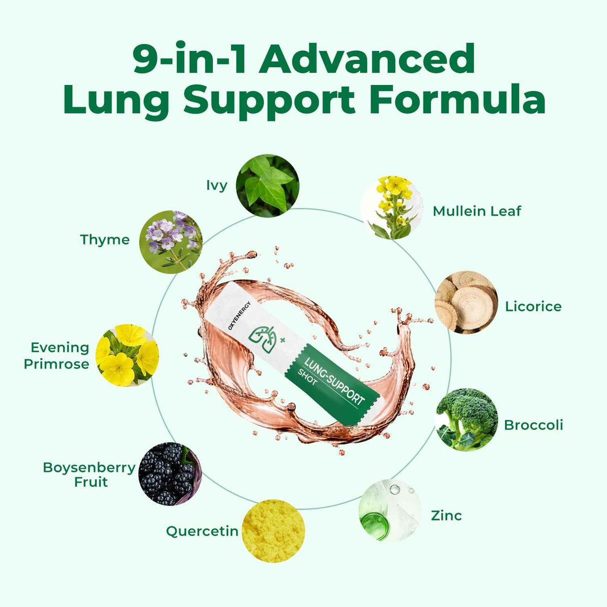 OxyEnergy Mullein Leaf Extract for Lungs - Oxyenergy.us
