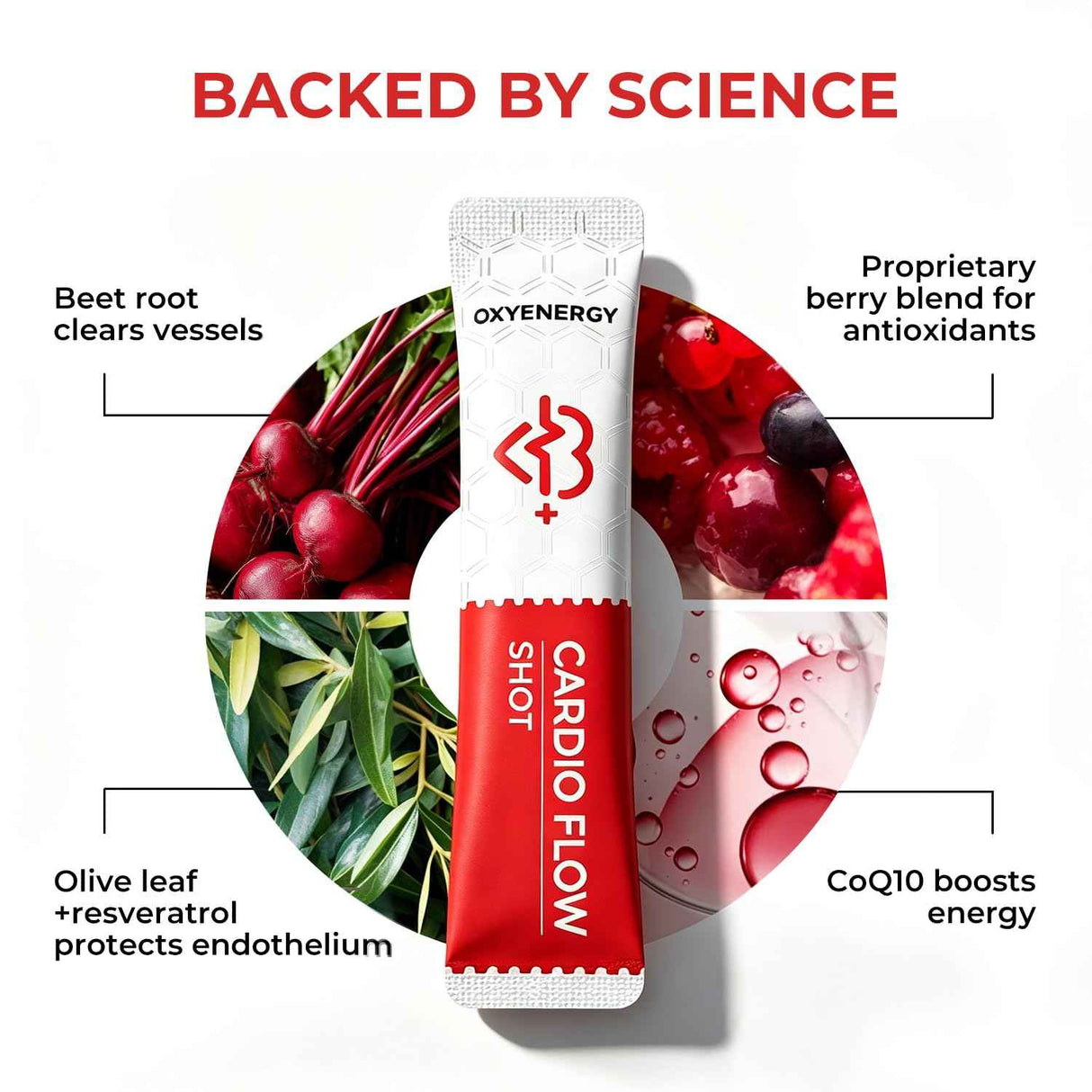 OxyEnergy Heart & Vascular & Blood Pressure Health Liquid Supplement - Oxyenergy.us