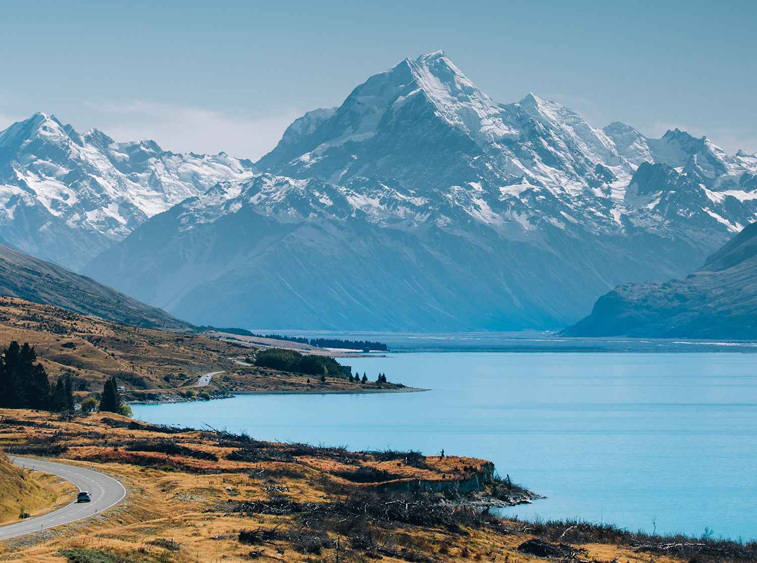 OXYENERGY Story Starting from New Zealand: Let Gut Happiness Create Overall Wellness - Oxyenergy.us