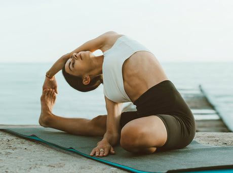 Gut Health and Whole-Body Vitality: A Science-Backed Nutritional Solution for Modern Lifestyles