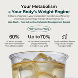 Lipo Slash 16-in-1 Slimming Powder | 4-in-1 Carbs & Fat Blocker, Appetite Suppressant, Metabolism Booster & Detox Drink for Weight Management - Oxyenergy.us