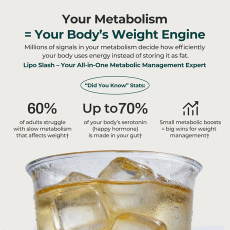 Lipo Slash 16-in-1 Slimming Powder | 4-in-1 Carbs & Fat Blocker, Appetite Suppressant, Metabolism Booster & Detox Drink for Weight Management - Oxyenergy.us