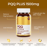 PQQ PLUS 1500MG
