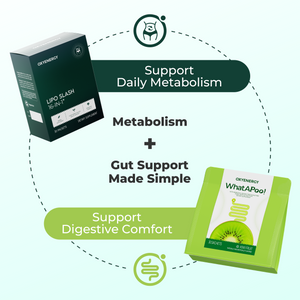 OXYENERGY Lipo + Gut Starter Bundle