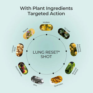 Lung Reset Shot 9-in-1 Cooling Sensation - Oxyenergy.us