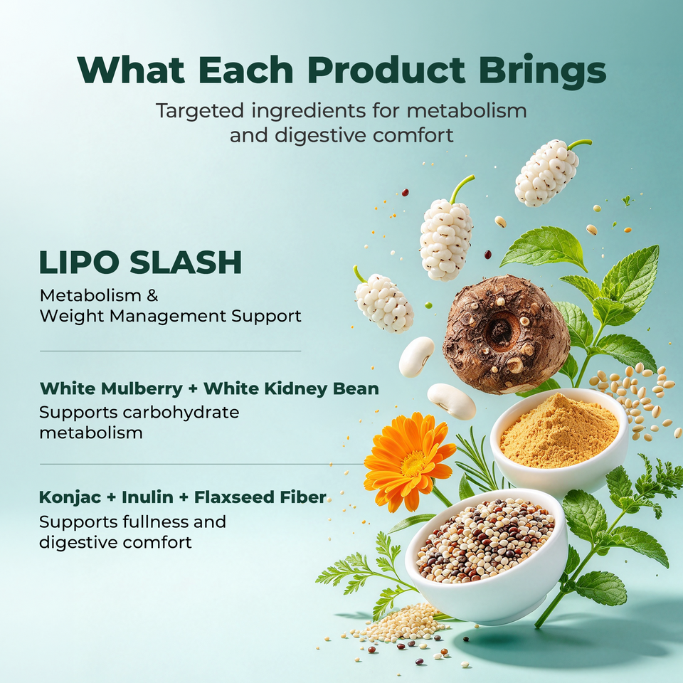 Lipo Slash ingredient and metabolism-support overview