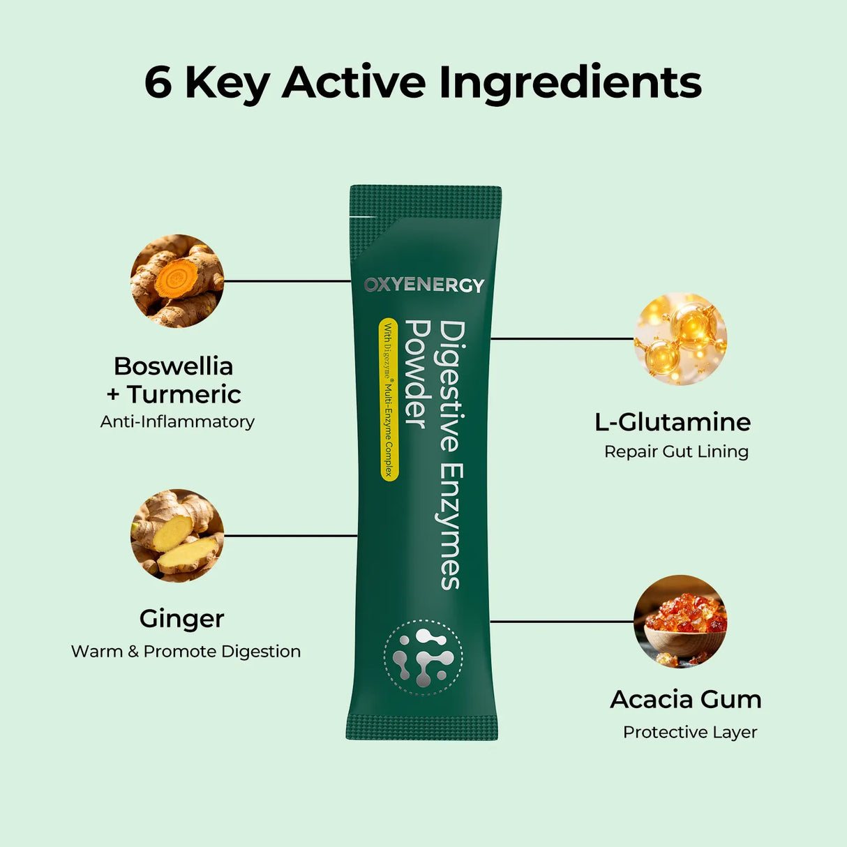Digestive Enzymes Powder with DigeZyme® Multi-Enzyme Complex