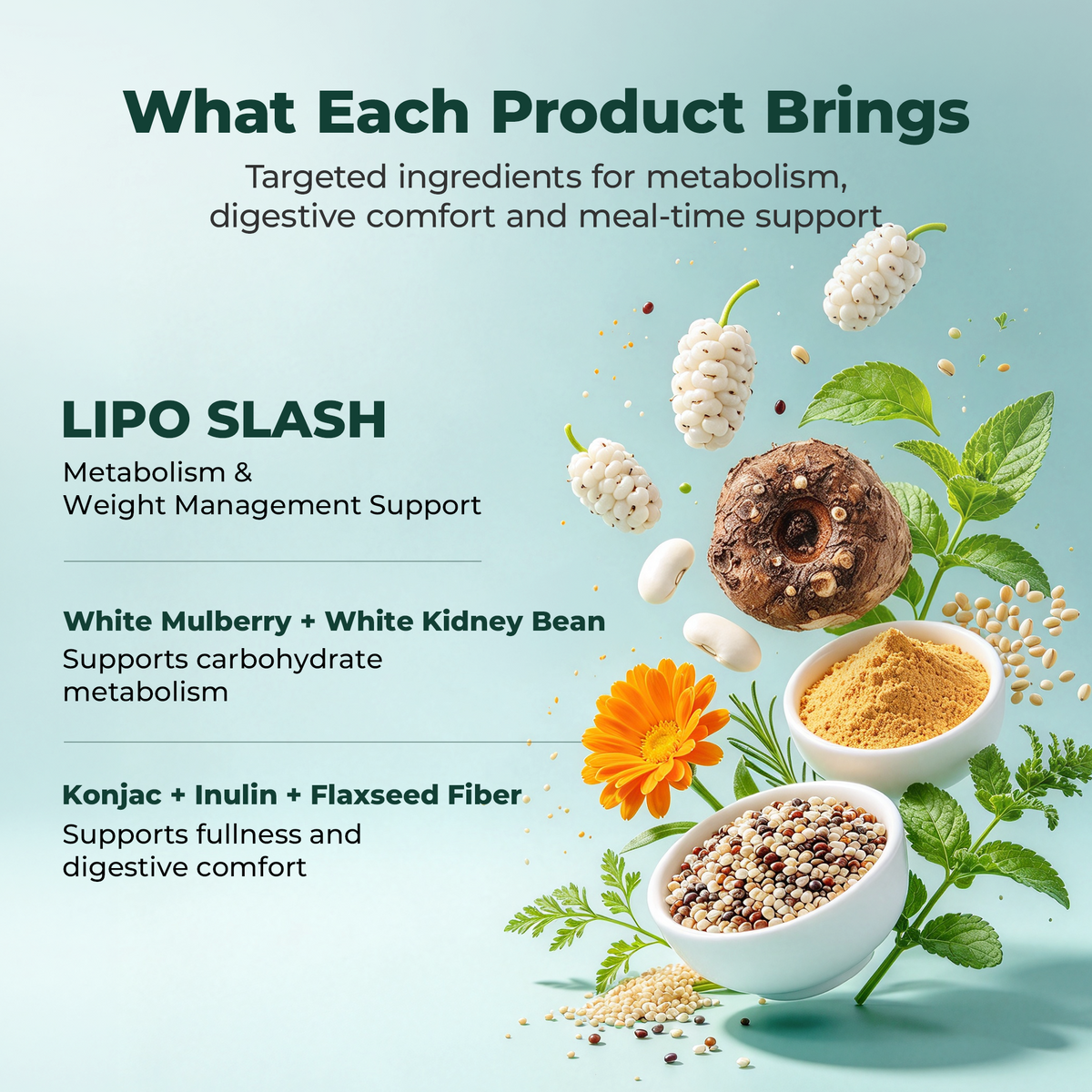Selected Lipo Slash ingredients and their role in the bundle