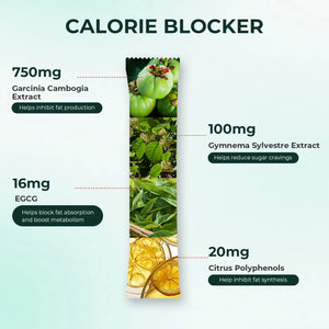 All-in-One Weight Management Bundle - Oxyenergy.us