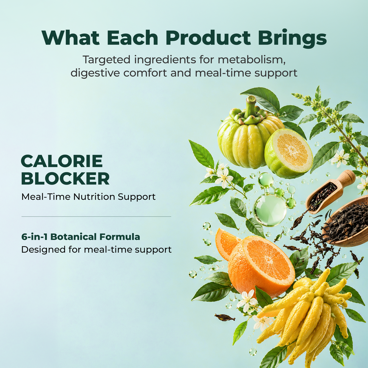 OXYENERGY Metabolism + Gut Complete Bundle