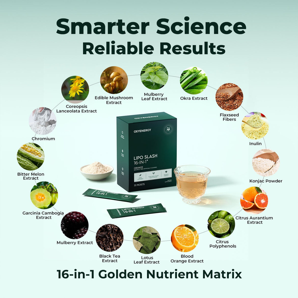 LIPO SLASH 16-IN-1