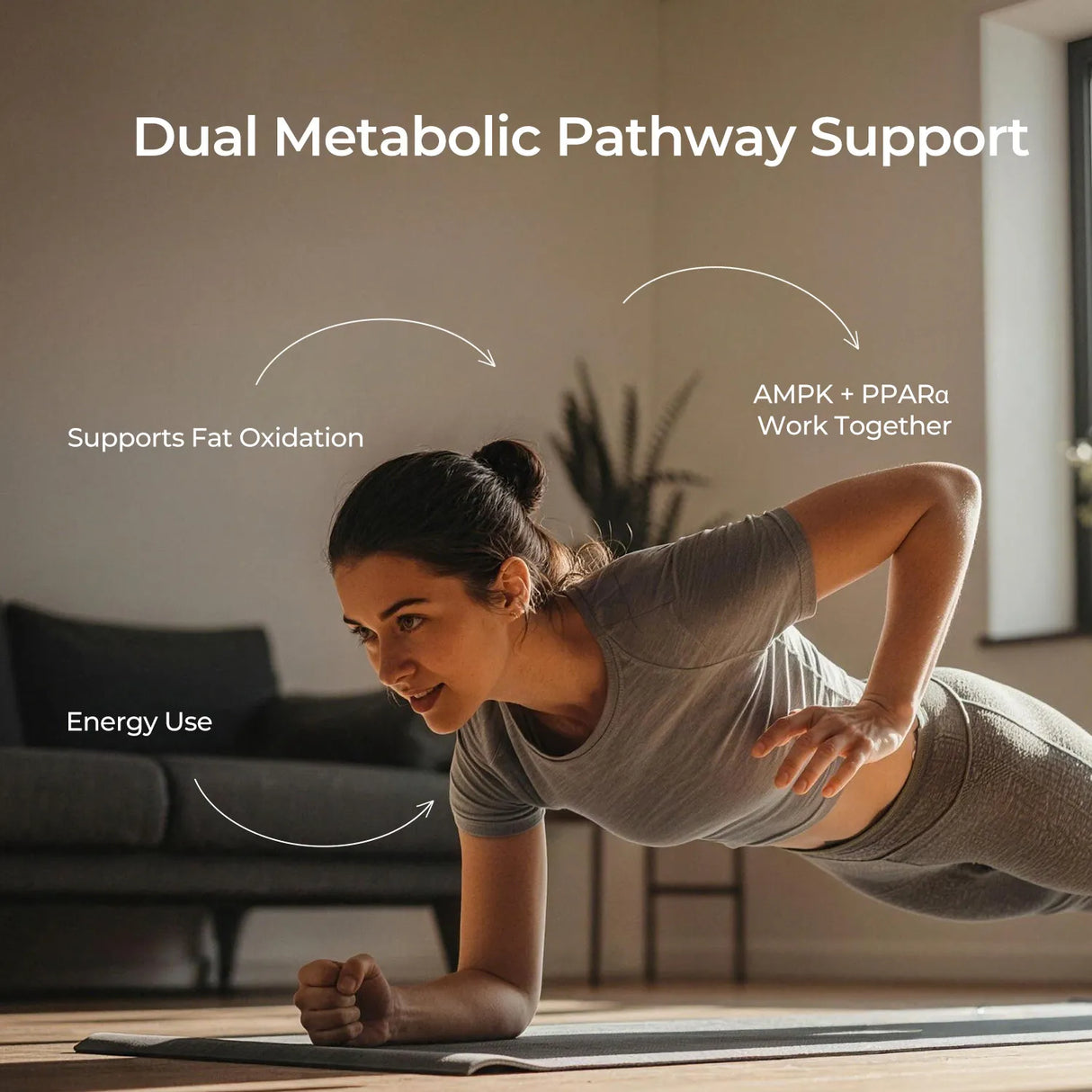 AMPK METABOLIC SUPPORT