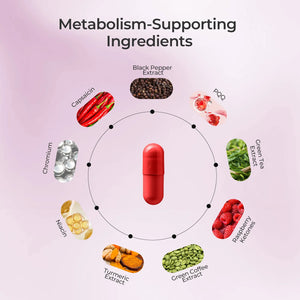 AMPK METABOLIC SUPPORT - Oxyenergy.us