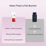 AMPK METABOLIC SUPPORT