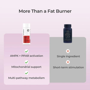 AMPK METABOLIC SUPPORT - Oxyenergy.us
