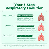 OxyEnergy Mullein Leaf Extract for Lungs