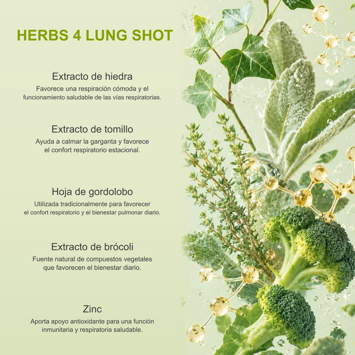 Paquete de bienestar para pulmones e hígado