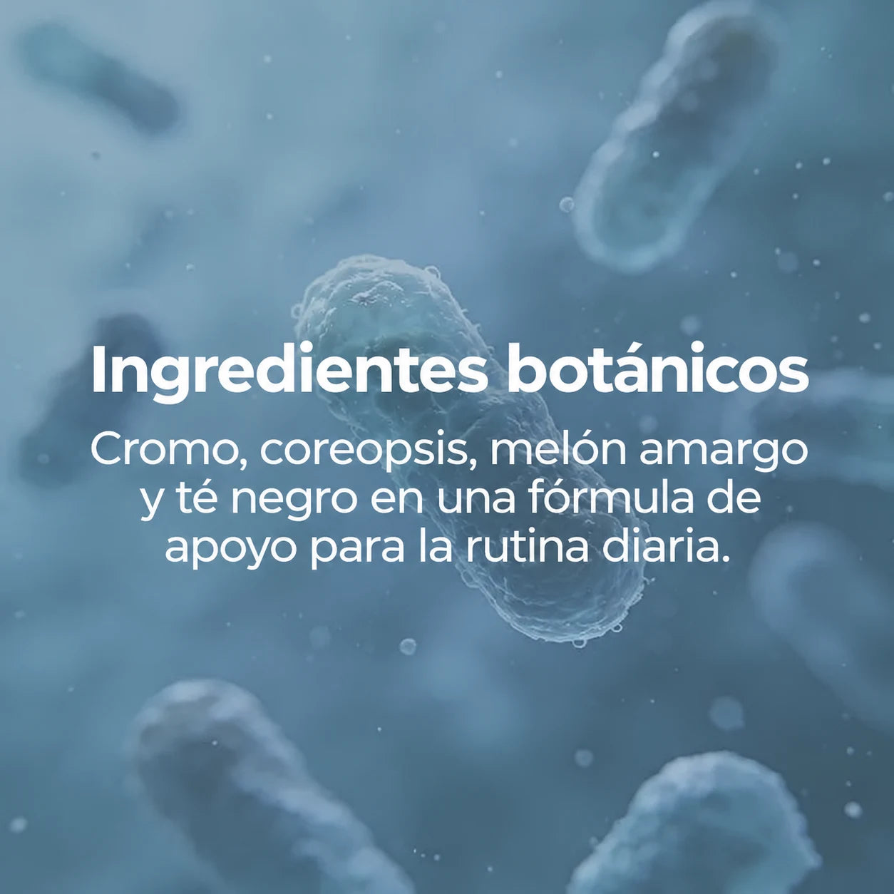 Ingredientes botánicos: cromo, coreopsis, melón amargo y té negro