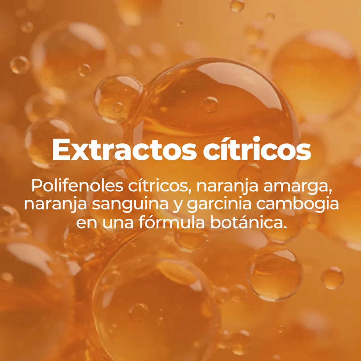 Extractos cítricos: polifenoles cítricos, naranja amarga, naranja sanguina y garcinia cambogia