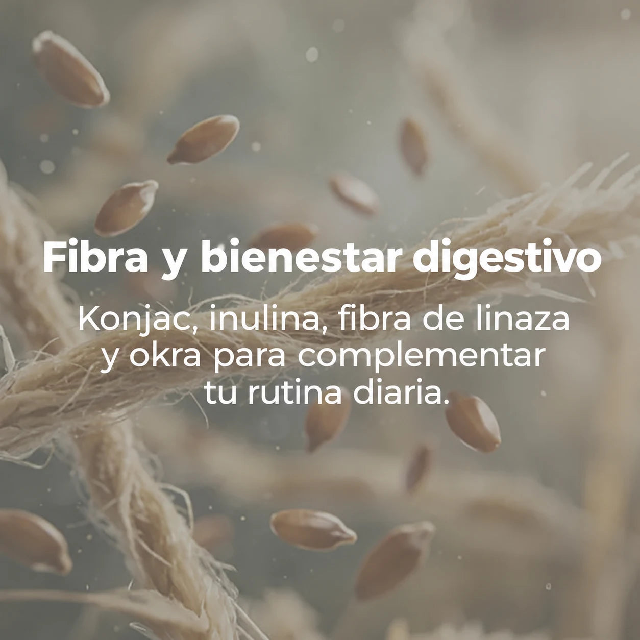 Fibra y bienestar digestivo: konjac, inulina, linaza y okra
